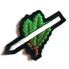 Jager Ski Cap Badge