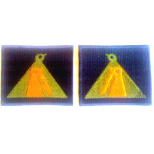 59th Staffs - 1 Pair