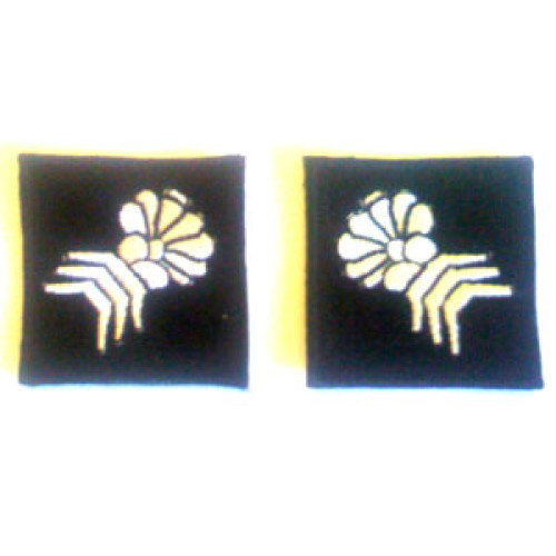 6th Armoured Division