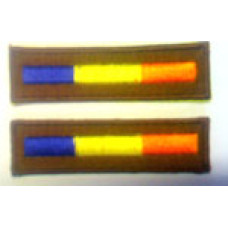 Branch of Service - Reme - 1 Pair