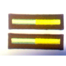 Branch of Service - Recon - 1 Pair