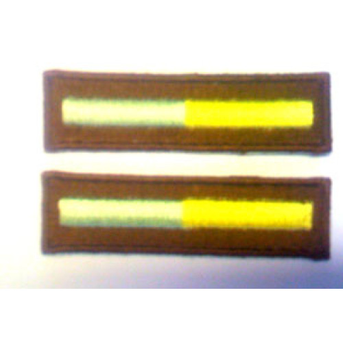 Branch of Service - Recon - 1 Pair