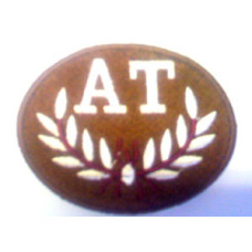 Anti Tank Trade Badge