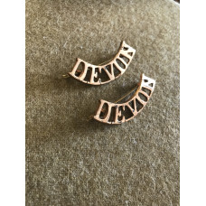 Devon shoulder titles WW1 