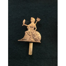 Norfolk regiment cap badge WW1 