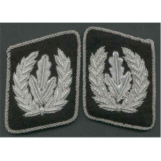 Reichsfuhrer Collar tabs
