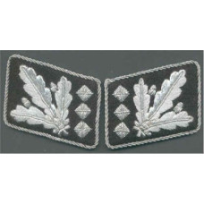 SS Oberstgruppenfuhrer collar tabs