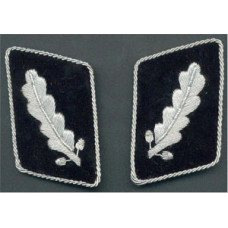 SS Standartenfuhrer 1st version collar tabs