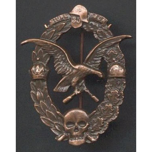 WW1 Austrian Stormtrooper badge