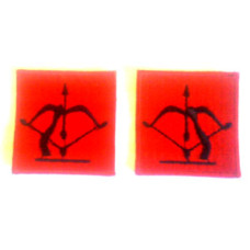 Anti Aifrcrat - 1 Pair - WW2 British Insignia