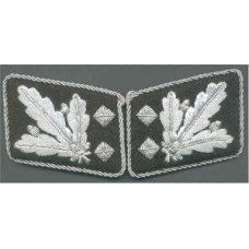 SS Obergruppenfuhrer collar tabs